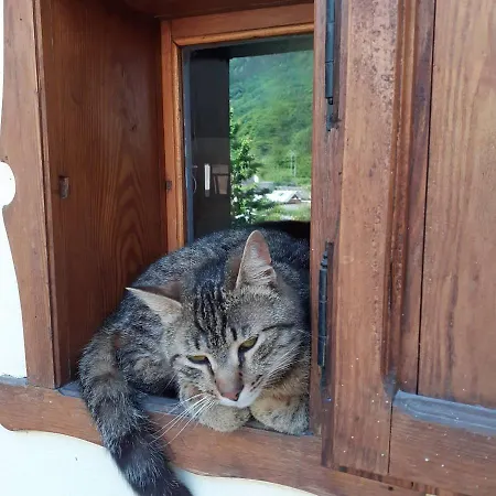 Tatil Evi Tana Del Paradiso *