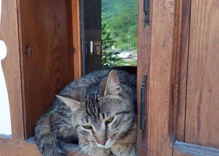 Prázdninový dům Tana Del Paradiso *